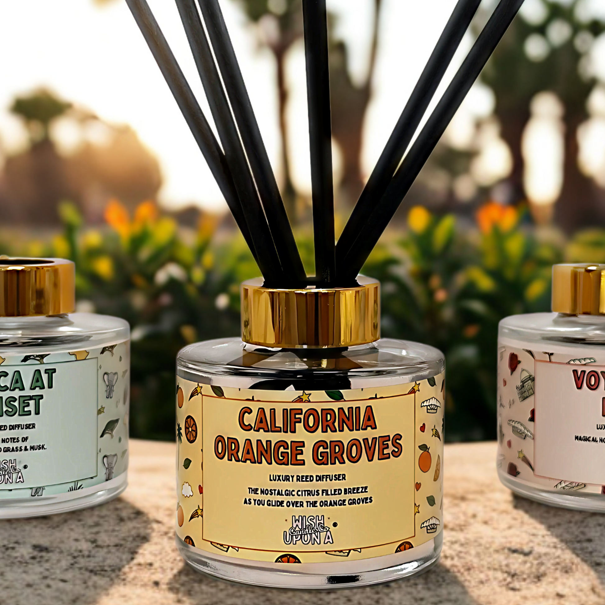 NEW! Limited Edition "Around the World" Collection