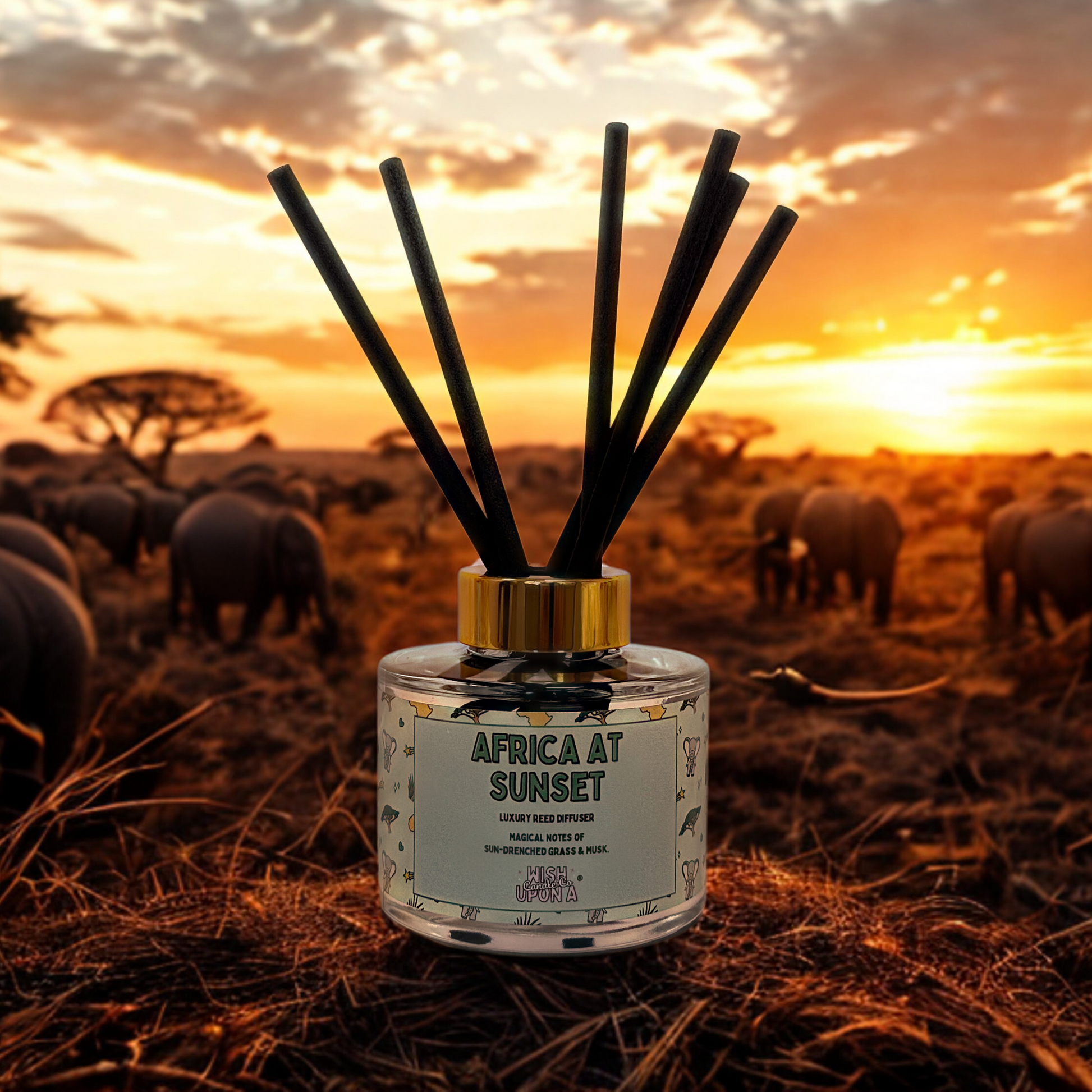 NEW! Limited Edition "Around the World" Reed Diffuser Collection