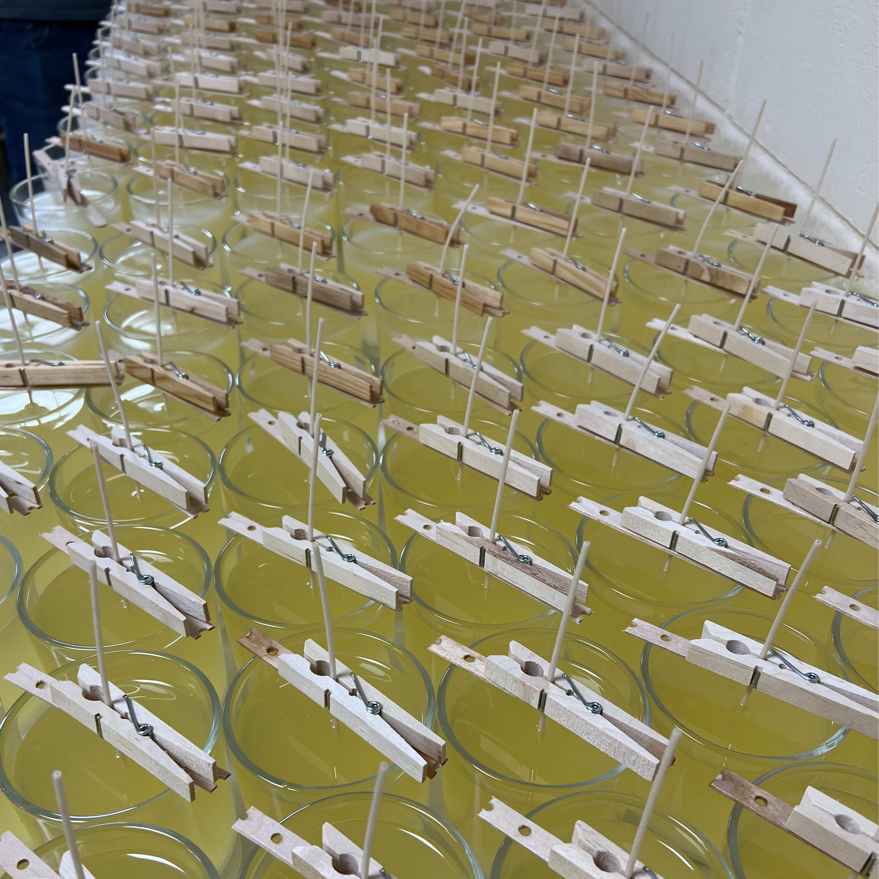 behind the scenes making our best-selling candles at wish upon a candle co